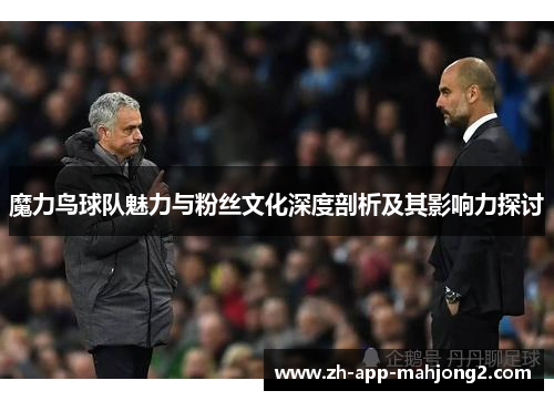 魔力鸟球队魅力与粉丝文化深度剖析及其影响力探讨
